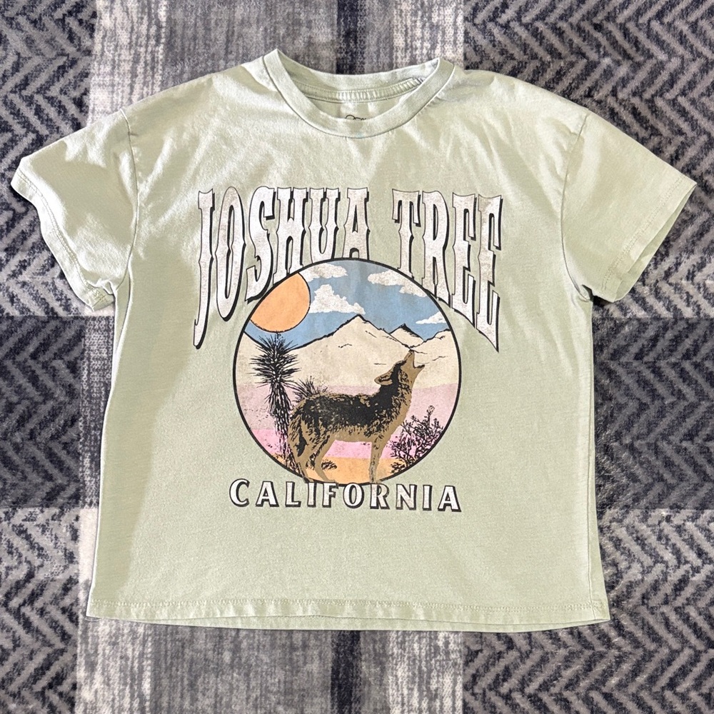 🦋art class Joshua Tree California Tee - Light Green